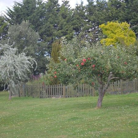 The Willow Studio - Peaceful Retreat Near Whitstable Seaside Faversham Exteriér fotografie