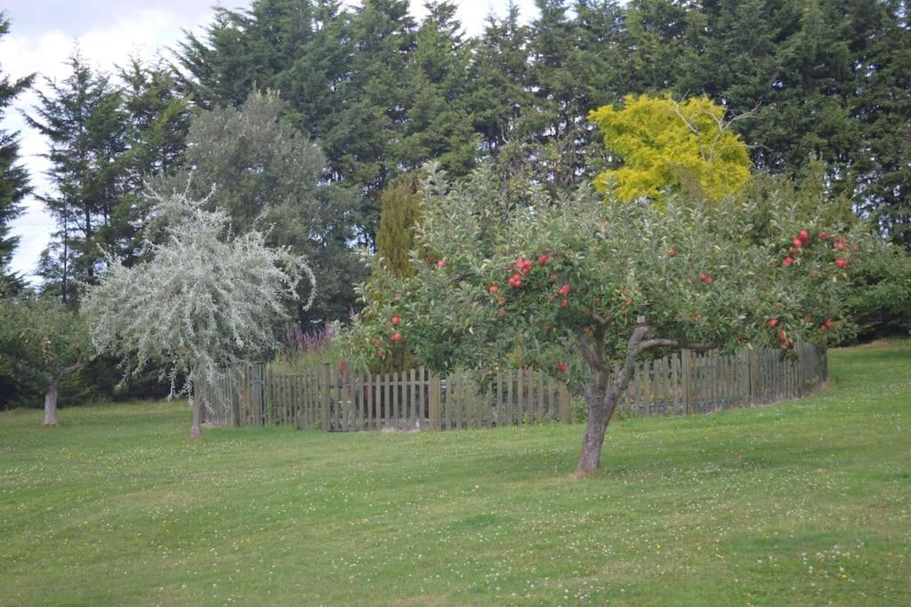 The Willow Studio - Peaceful Retreat Near Whitstable Seaside Faversham Exteriér fotografie