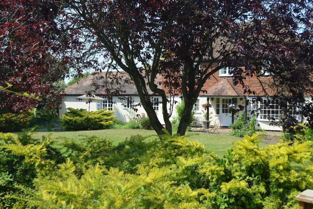 The Willow Studio - Peaceful Retreat Near Whitstable Seaside Faversham Exteriér fotografie